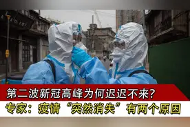 第二波新冠高峰为何迟迟不来？专家：疫情“突然消失”有两个原因视频封面
