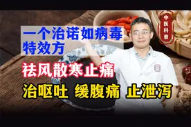 一个治诺如病毒的特效方，上治呕吐、中缓腹痛、下止泄泻视频封面