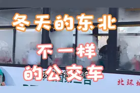 东北的公交车有一种特殊现象，南方的朋友可能没见过，带你去看看视频封面