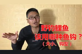 野钓鲤鱼该用哪种鱼钩？大小、钩形详细解析，新手看懂很重要