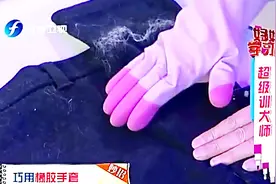这是清理狗毛最快的方法，再也不用担心狗子掉毛了？视频封面