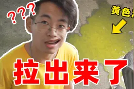 【办公室整蛊系列】崩溃现场！地上全是不明黄色痕迹，这次搞大了视频封面