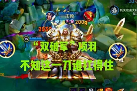 “双破军”项羽，一刀就能瞬秒脆皮，这出装绝对包爽视频封面
