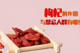 枸杞的作用与禁忌人群有哪些？视频封面