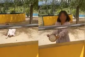 德州一动物园内女子翻进鸵鸟圈“偷蛋” 园区：已进行处理视频封面