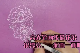 用高光笔能画出漂亮的线描画，你试过吗视频封面