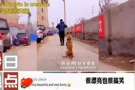 老外沉迷中国抖音惊呼：中国人又活跃又有创意，生活也很清闲自在视频封面