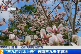 “三九四九冰上走” 云南三九天不算冷视频封面