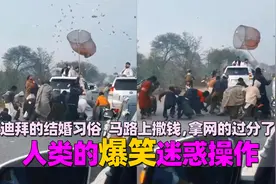 人类的爆笑迷惑操作，迪拜的结婚习俗，马路上撒钱，拿网的过分了视频封面