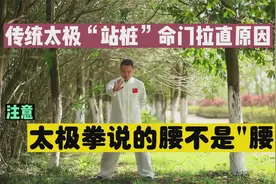 站桩拉直命门原因如下，所以太极拳指的“腰”就是“胯”视频封面