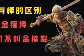 人类史上最早的武器--棍棒！“棒棒糖”为何不叫“棍棍糖”？视频封面