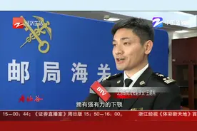 北京海关截获“最大”天牛