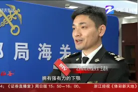 北京海关截获“最大”天牛视频封面