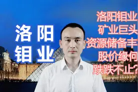 洛阳钼业 矿业巨头资源储备丰富 股价缘何跌跌不止？#股票视频封面