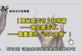 【揭秘膝关节】韧带篇——稳定膝关节，最重要的“四大金刚”！视频封面