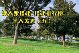 十大美男（五）【指北排行榜31】晓松奇谈不能说的，都在这里！视频封面