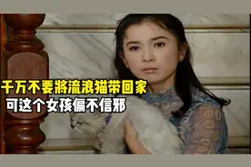 女孩把流浪猫带回家，结果差点家破人亡，好邪乎 影视视频封面