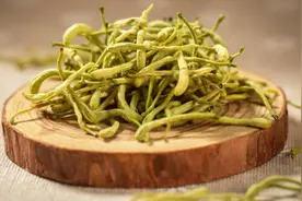 医生科普：清热解毒的金银花口服液，该如何正确服用？