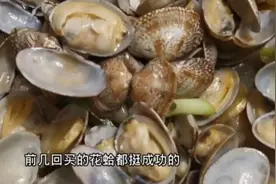 炒花蛤，吃出臭泥味！怎么买不翻车？如何避雷“死活掺一起”？视频封面