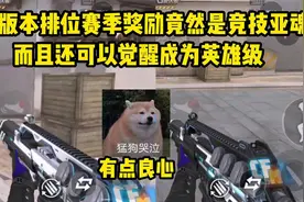 新版本排位赛季奖励来了，竞技亚魂了解一下？可觉醒为英雄级视频封面