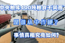 中央粮库400吨粮食不翼而飞，是谁从中作梗？背后真相究竟如何？视频封面