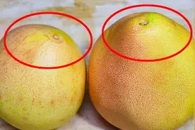 买柚子要选母的，顶部看一眼就分辨，皮薄多汁又香甜，一挑一个准