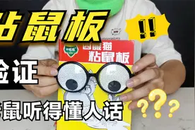 据说老鼠的智力相当于8岁小学生，还能听懂人说话？视频封面