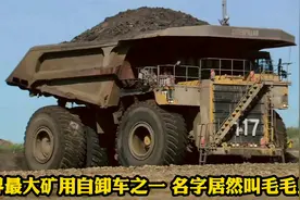 全球最大自卸车之一，仅六条轮胎就值270多万，名字居然叫毛毛虫视频封面