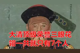 大清顶级荣誉三眼花翎一共就只有7个人视频封面