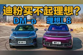 30万你买比亚迪唐还是理想L8？全网唯一热门车对比！30万别瞎花钱视频封面