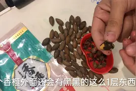 帮粉丝吃货买香榧，先给大家科普一下香榧怎么吃，千万不要用牙啃视频封面