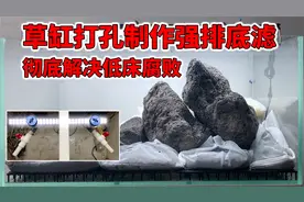 我把90的草缸打了孔，做成强排底滤来解决底床腐败的问题