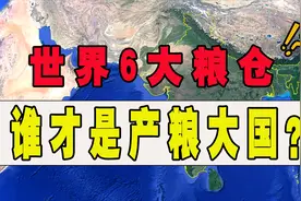 世界上6大粮仓，都有哪些国家？谁才是真正的第一产量大国？视频封面