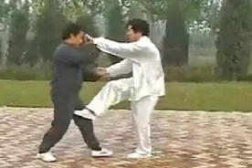 二十四式 祈家通背拳