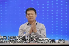 农业银行首席专家杨光接受调查 曾任河北分行行长视频封面