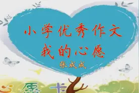小学优秀作文《我的心愿》我爱原地打转，因为梦想灿烂视频封面