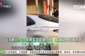 云浮新兴：20多辆车凌晨被打砸 女嫌疑人已被抓获视频封面