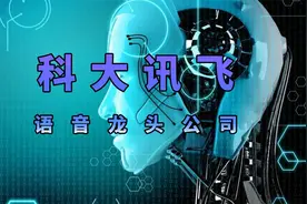 科大讯飞是家什么样的公司怎么赚钱的呢