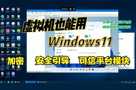 VMware虚拟机也能安装Windows11系统，新手也能轻松搞定视频封面