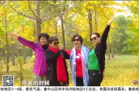 醉美！济南千亩银杏林迎最佳观赏期，在这拍照片含“金”量满满视频封面