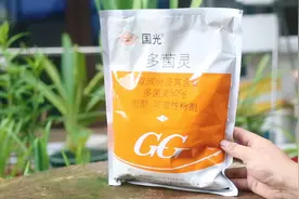 养花生病了怎么办？园艺师教你，用多菌灵就能搞定，花卉都通用视频封面