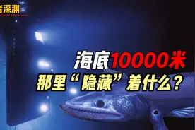 全球海洋最深处藏着哪些生物，它们在万米深海中如何存活？