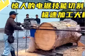 惊人的电锯技能切割术，极速加工木材，干完后老板说要加鸡腿视频封面