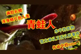 水中未知的生物？传说中的uma！青蛙人的目击事件！视频封面