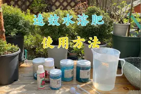 养花施肥，速效水溶肥吸收快效果好，正确使用让植物快速生长！