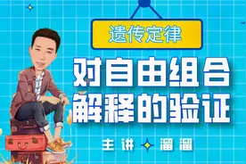 对自由组合现象解释的验证-测交-高考-高中生物-遗传定律自由组合