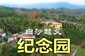 “白沙起义”，伟人对它有高度的评价！带您看海南最美的风景视频封面