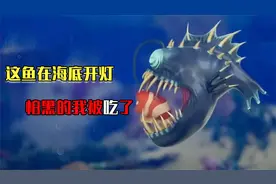惊现骗子鱼！海底开灯骗我过去，瞬间就被一口吃掉了视频封面