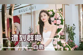 内娱到底在高贵什么？白鹿说冰箱有碗，却遭众人群嘲视频封面