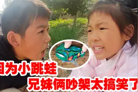 哥哥把妹妹小跳蛙砸碎了，兄妹俩吵架太搞笑了，你们说这是谁的错视频封面
